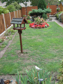 Existing lawn before being replaced